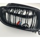 Решетка радиатора BMW 6 F06, F12, F13 М6 черная глянцевая