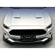 Накладка переднього бампера Ford Mustang MK6.5 Чорний глянець (ABS-пластик)