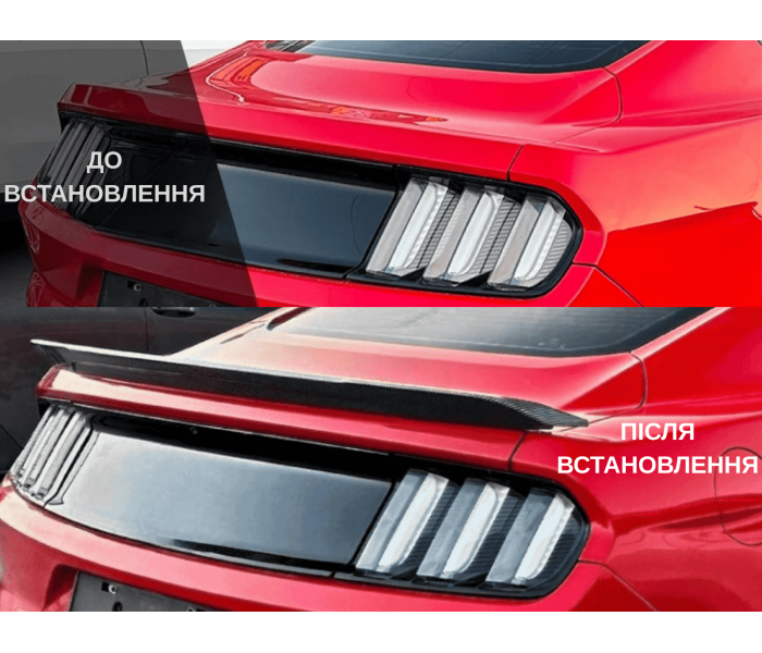 Спойлер багажника Ford Mustang MK6 чорний глянець (15-22 р.в.)