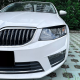 Вії на Skoda Octavia A7 чорний глянець ABS-пластик